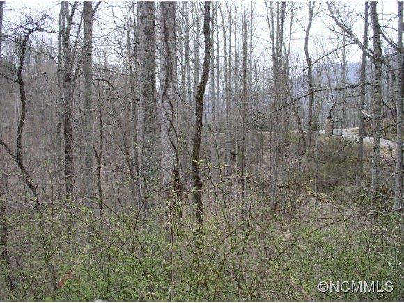 00 Upward Road, Waynesville, NC 28785