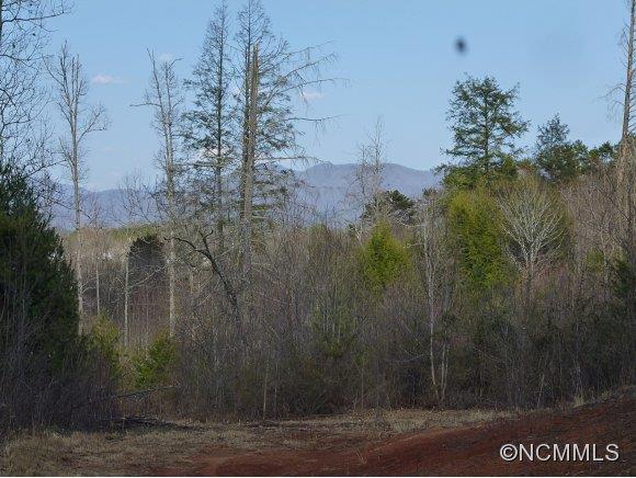 00 Nells Place (off Mag Sluder), Alexander, NC 28701