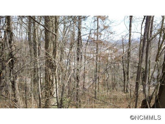 TBD Stradley Mountain Road #42-48, Asheville, NC 28806