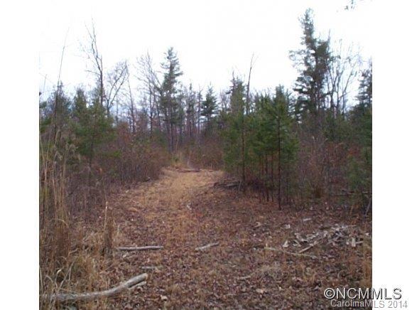 tbd New Stock Road, Weaverville, NC 28787