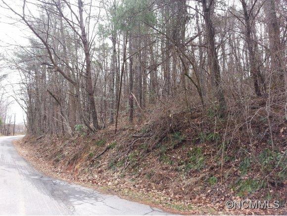 999 Frisbee Road, Asheville, NC 28806