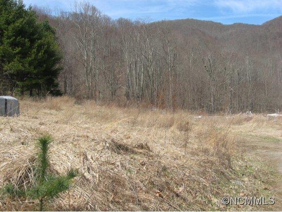 14 Dandelion Trail, Waynesville, NC 28785