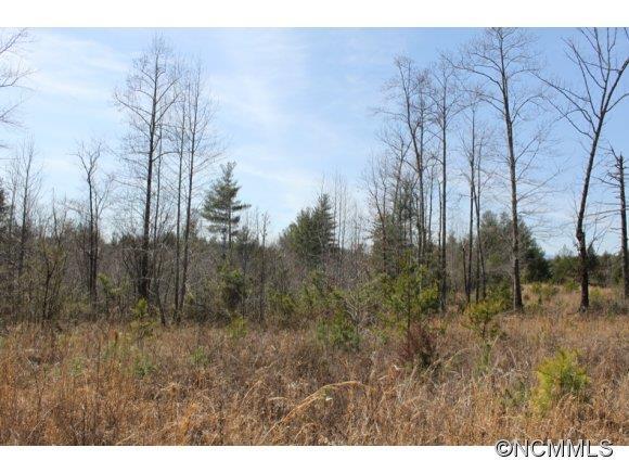 1431 Razors Ridge Rd, Morganton, NC 28655