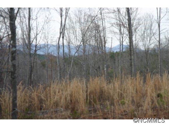 9999 Coopers Gap Road, Rutherfordton, NC 28139