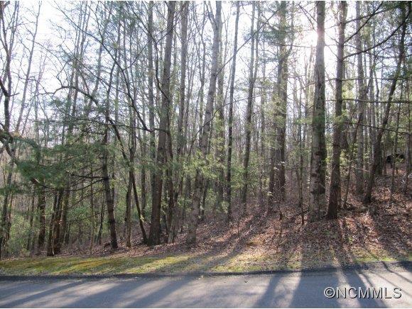 Dvga Ct #U9/L36, Brevard, NC 28712