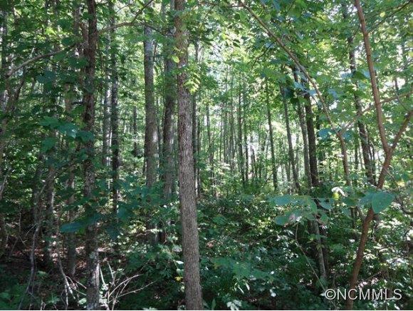 Lot 40 Garnet Ridge Preserve, Sylva, NC 28779