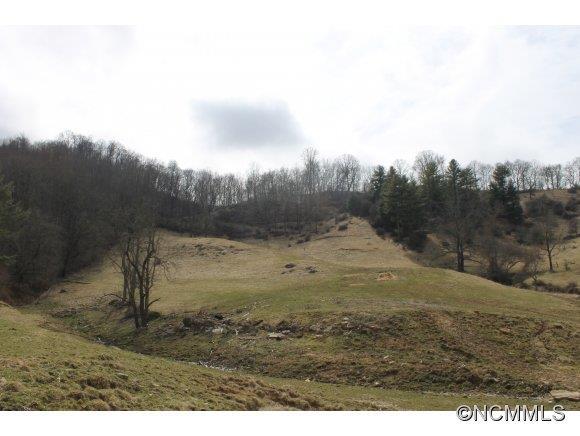 130 Leopard Drive, Waynesville, NC 28786