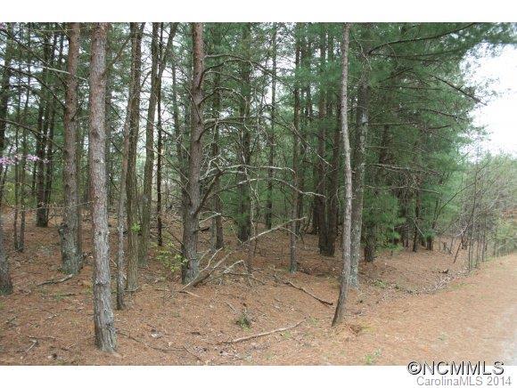 99999 Waters Rd., Asheville, NC 28805