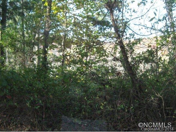 Propst Rd (off), Asheville, NC 28715