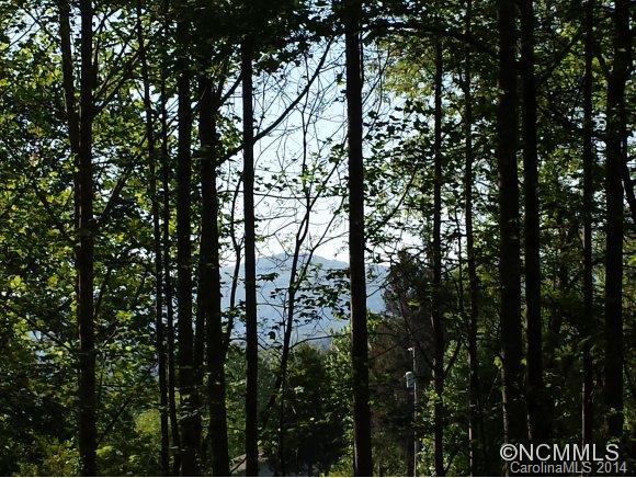 225 Burrell Mountain Road, Brevard, NC 28712