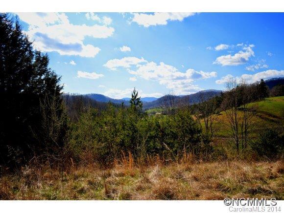 [Address Hidden by Seller], Asheville, NC 28748