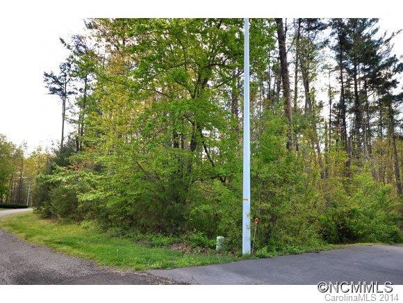 50 Canebrook Dr. #10, Leicester, NC 28748