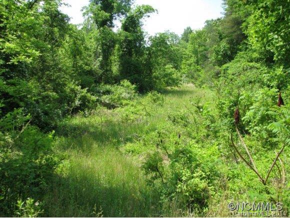 14 Ivory Drive, Leicester, NC 28768