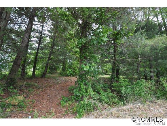 Lot # 0 Blythewood Dr., Hendersonville, NC 28792