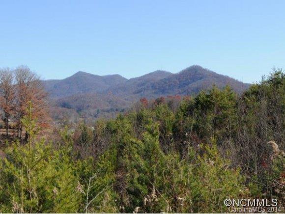 000 Pride Mountain Road, Waynesville, NC 28786