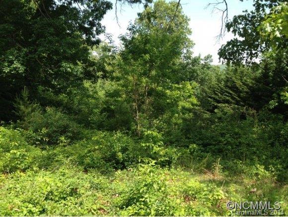 162 Gashes Creek Rd, Asheville, NC 28805