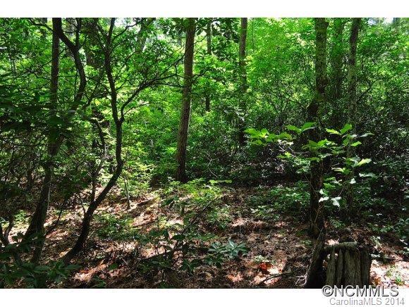 139 Pheasant St., Lake Lure, NC 28746