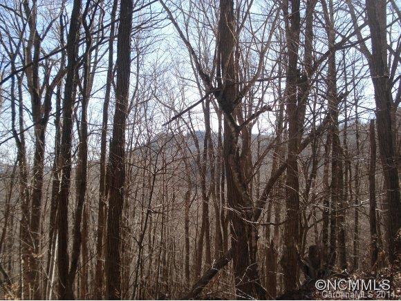 Big Brush Creek Road, Burnsville, NC 28714