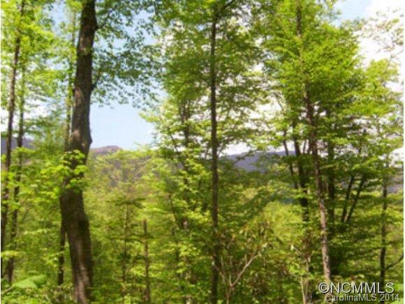 00 Roaring Fork Road ##7 & #, Burnsville, NC 28714