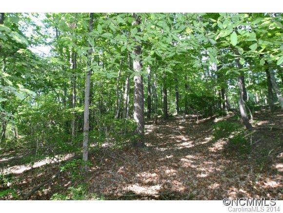 9999 Grassy Knob Road, Rutherfordton, NC 28139