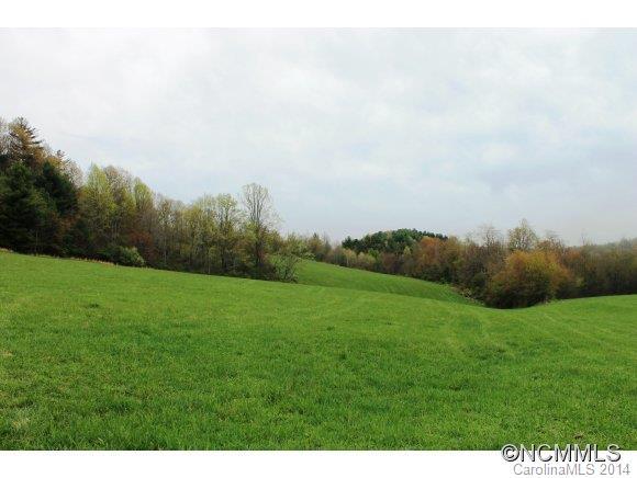 32.916 Tole Allison Road, Mills River, NC 28759