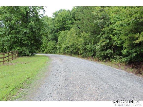 000 Stirrup Downs Lane, Columbus, NC 28722