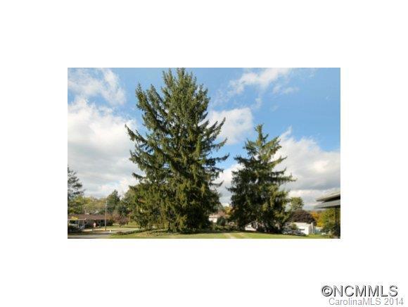 299 Shelburne Rd., Asheville, NC 28806