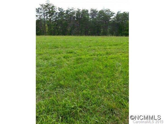 99999999 Goldview Rd./ Rice Meadows Rd., Asheville, NC 28804