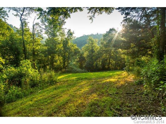 00 Davis Cove Road, Leicester, NC 28748