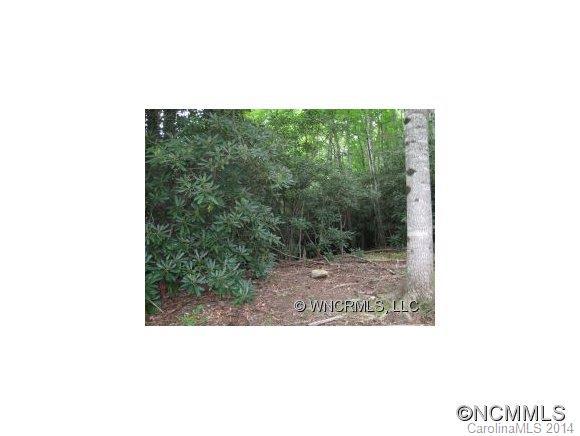 XX Walkertown Road, Black Mountain, NC 28711