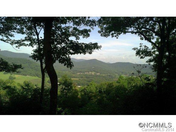 25 Deer Grass Court #56, Arden, NC 28704