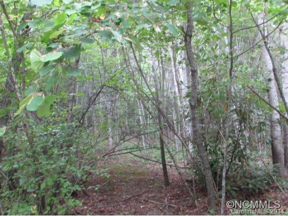 00 Patton Thicket Rd., Burnsville, NC 28714