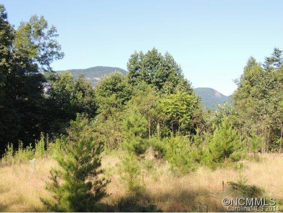 23A/24E Chapel Pt & Lurewood Manor #23/24, Lake Lure, NC 28746