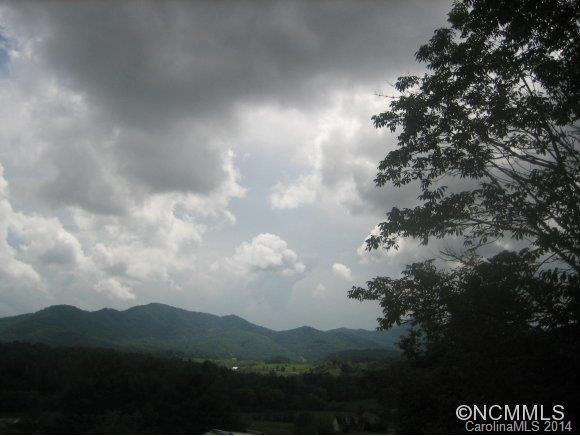 000 Jones Rd., Leicester, NC 28748