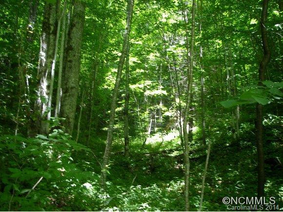 LOT 205 Wills Way #205, Canton, NC 28716