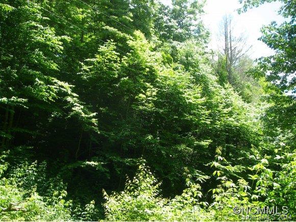 LOT 206 Wills Way #206, Canton, NC 28716