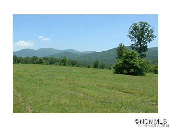 98 Governor Thomson Terrace #50, Weaverville, NC 28787