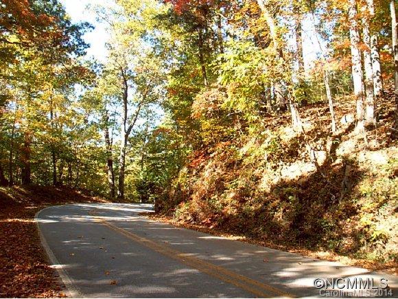 Lot #2 Buffalo Shoals Rd. ##2, Lake Lure, NC 28746