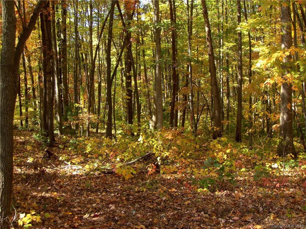 28 Spring St #8, Candler, NC 28715