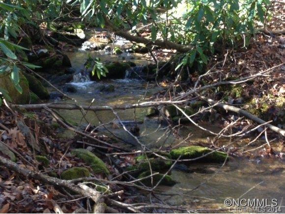 9999 Serendipity Cove Road, Hendersonville, NC 28792