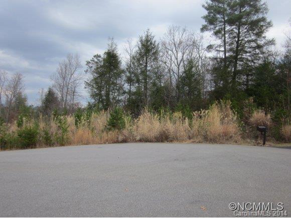 238 Macduff Ln #L12, Weaverville, NC 28787