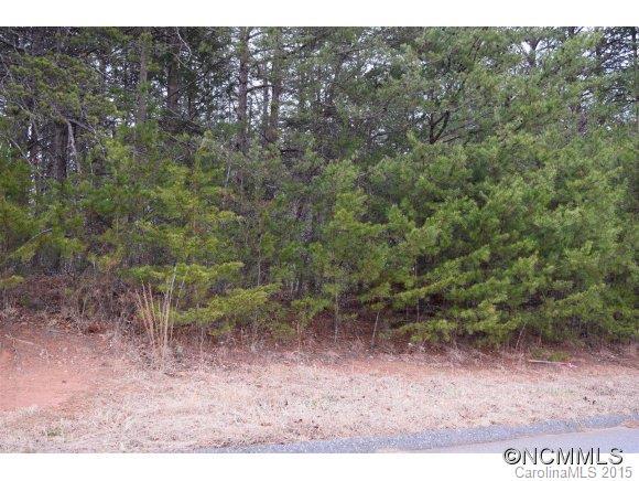Lot 31 Ridgeview Drive #31, Rutherfordton, NC 28139