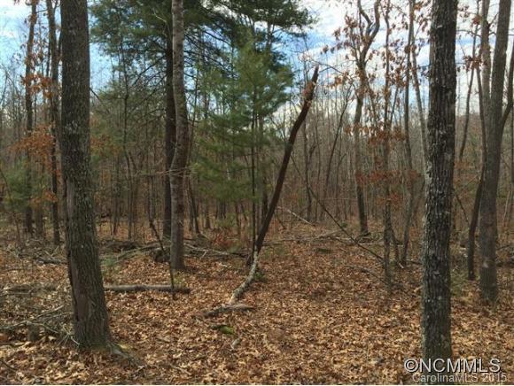 2480 Brevard Road, Arden, NC 28704