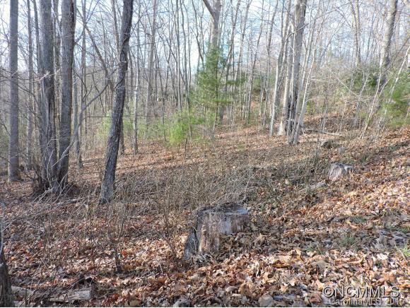 Roland Hill Road, Burnsville, NC 28714