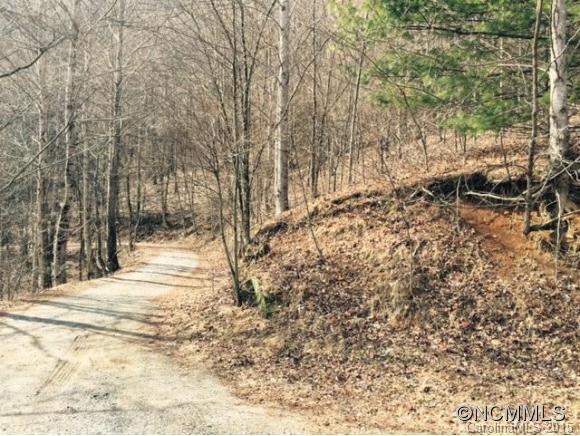 Lot 6 Woody's Drive #6, Bat Cave, NC 28710