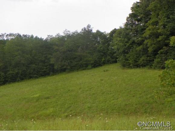 99999 Sams Road Lot 3, Weaverville, NC 28787
