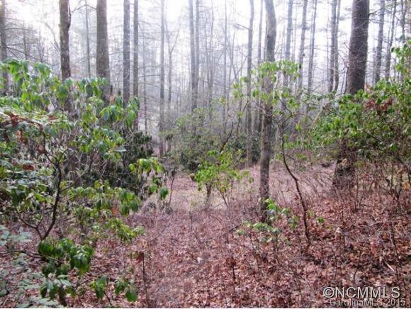 Lot 34 Leamon Dr., Brevard, NC 28712