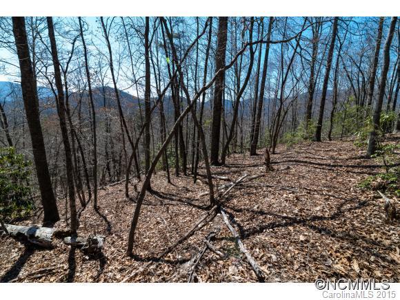 99999 Walker Cove Road, Black Mountain, NC 28711