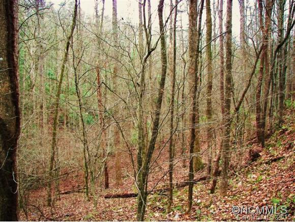 [Address Hidden by Seller], Lake Lure, NC 28746