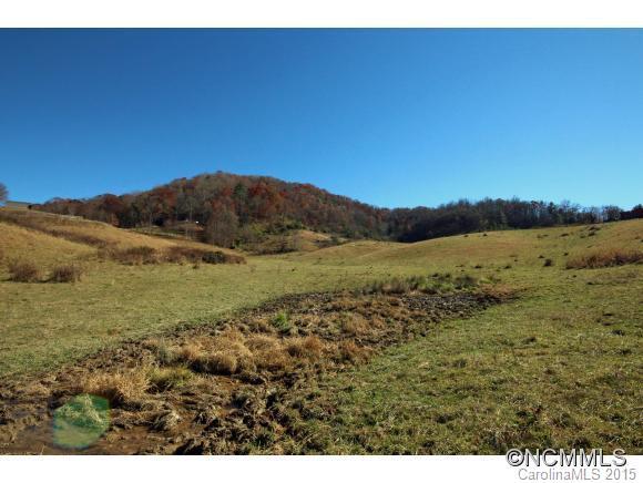 162 Best Lane, Clyde, NC 28721